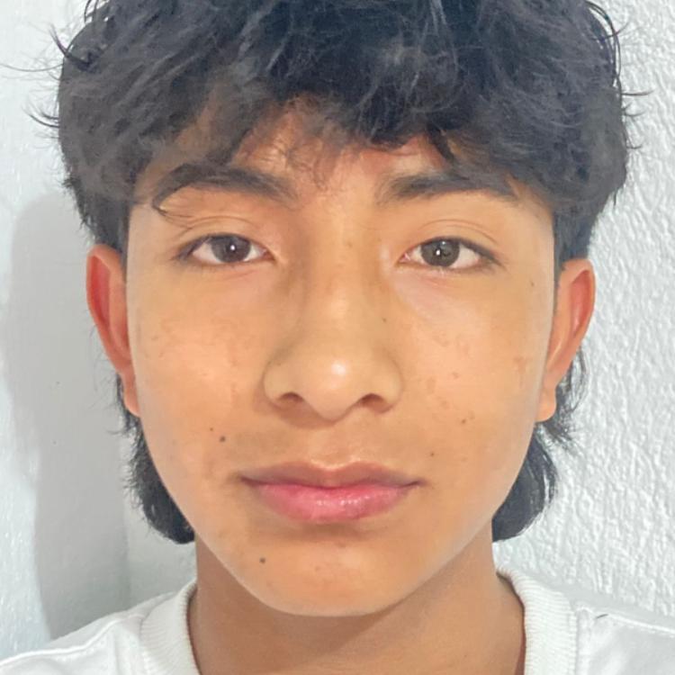 User Image